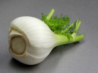 fennel_2