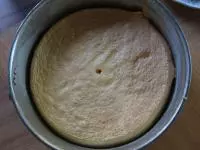 Piškotové těsto vlijeme do vymazané a moukou...