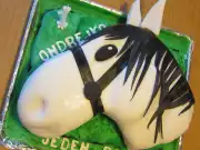 Dort Koník