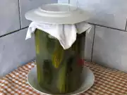 Kvašáky - kvašené okurky